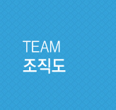 TEAM 조직도