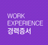 WORK EXPERIENCE 경력증서
